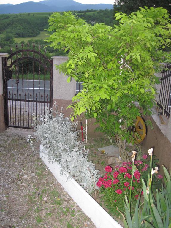 Apartment Yasica Izacic Exterior foto